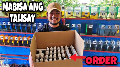 Mga video ng talisaybet. live.